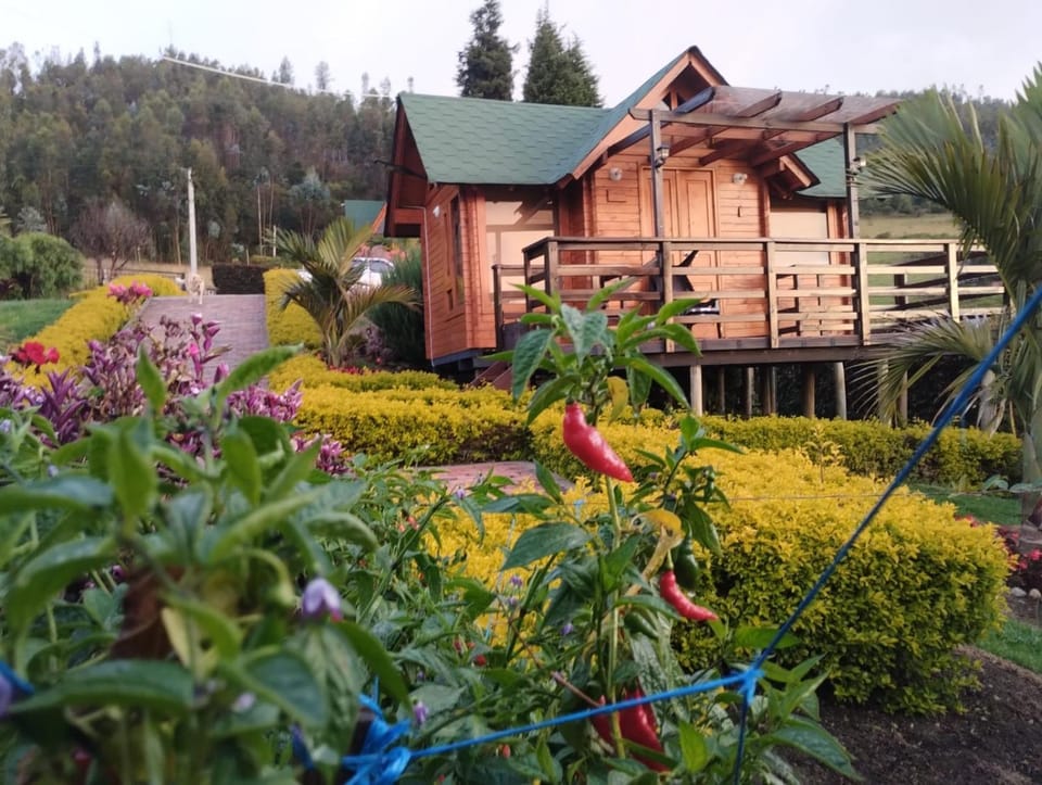 Villa Angela Glamping & Tiny Houses Nature lodge in Cundinamarca, Colombia