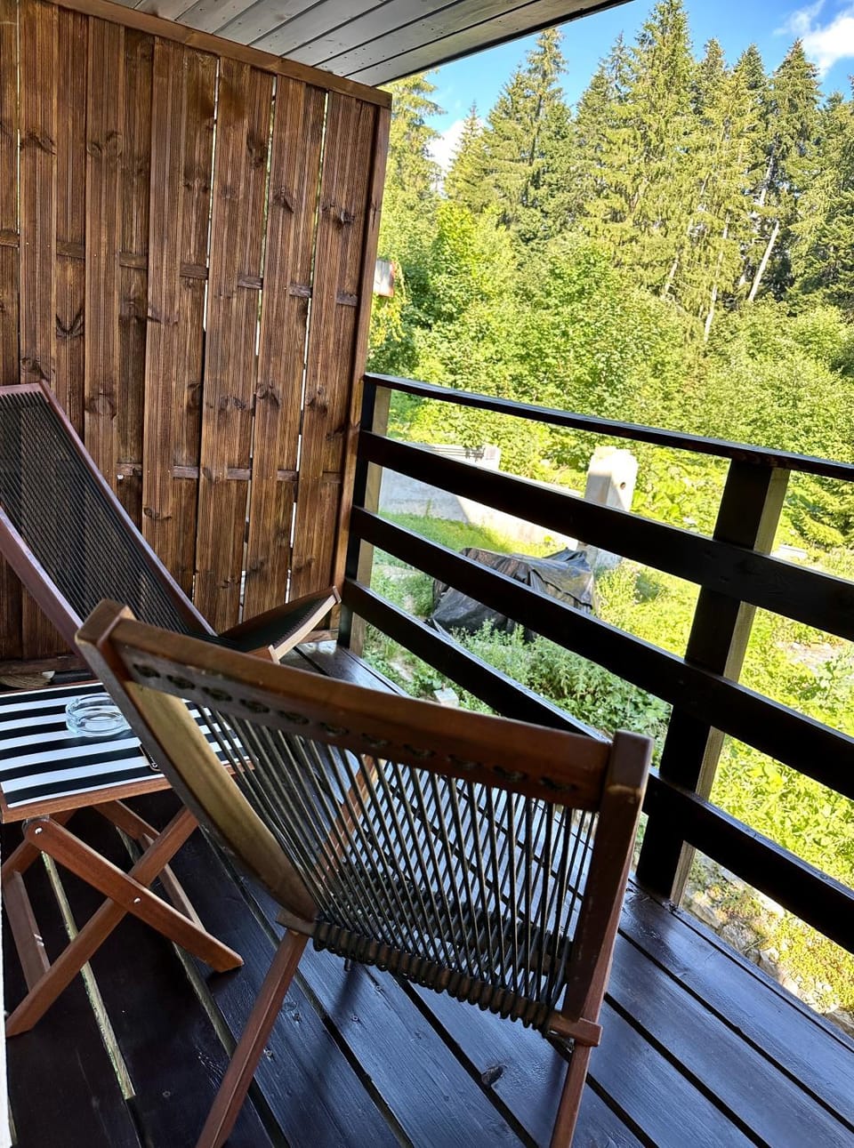 Forest Apart Apartment in Prahova, Romania