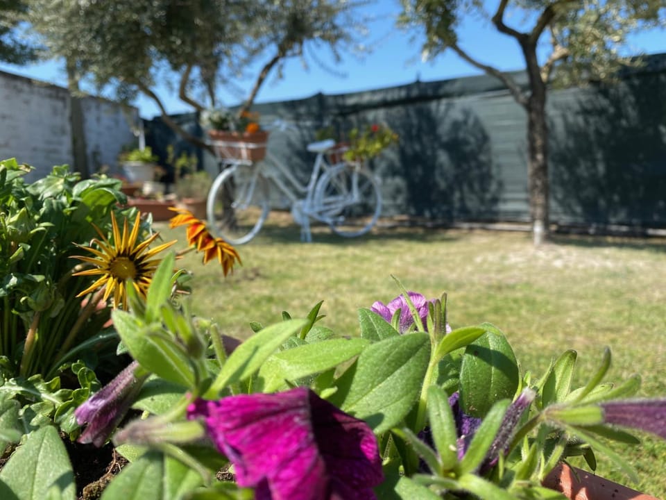 Villa Cecilia Bed and Breakfast Bed and Breakfast in Campania