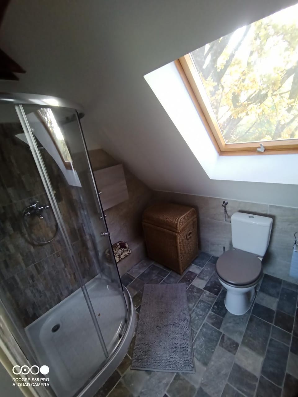 Shower, Toilet, Bathroom