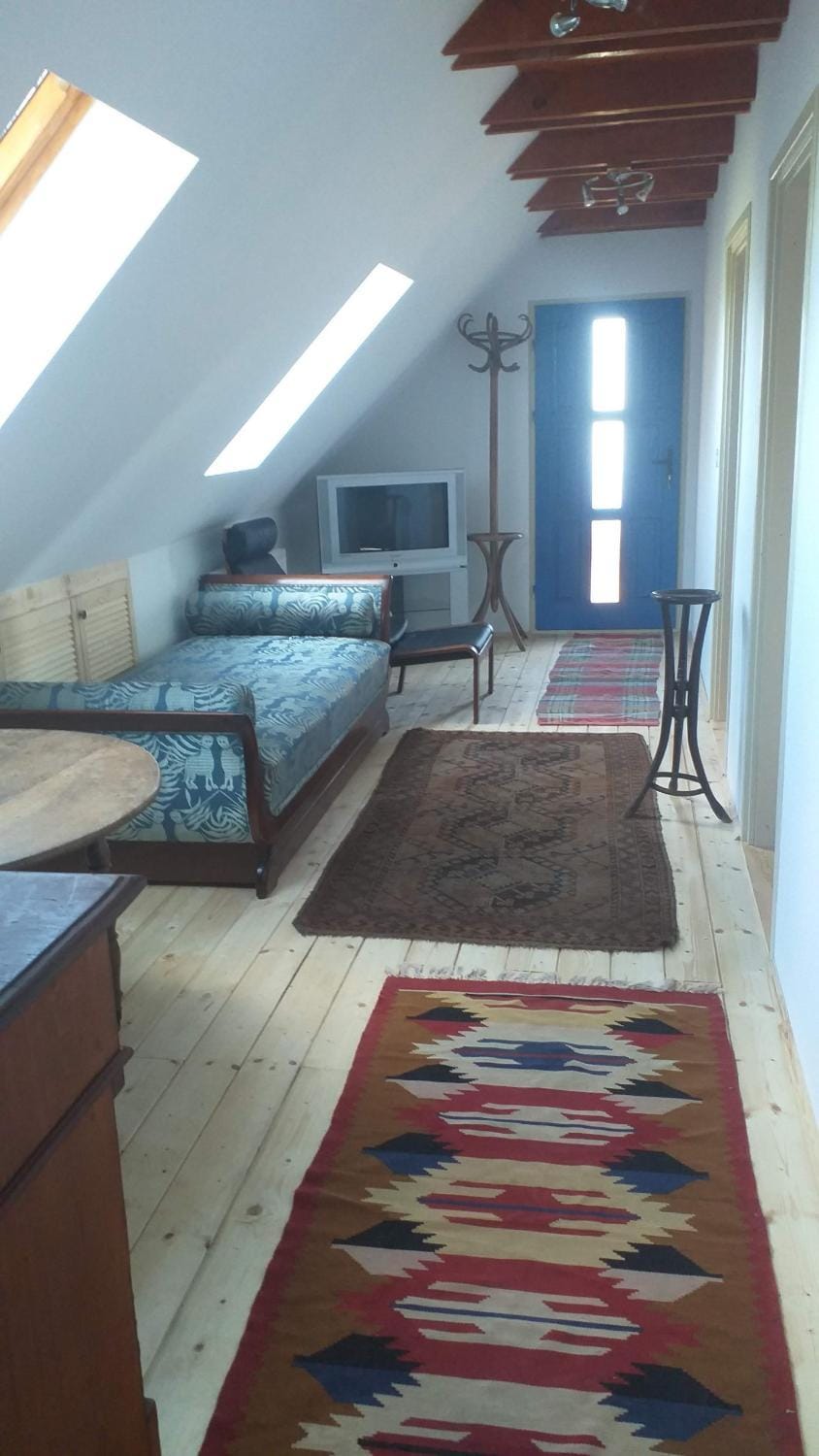 Bed, TV and multimedia, Photo of the whole room
