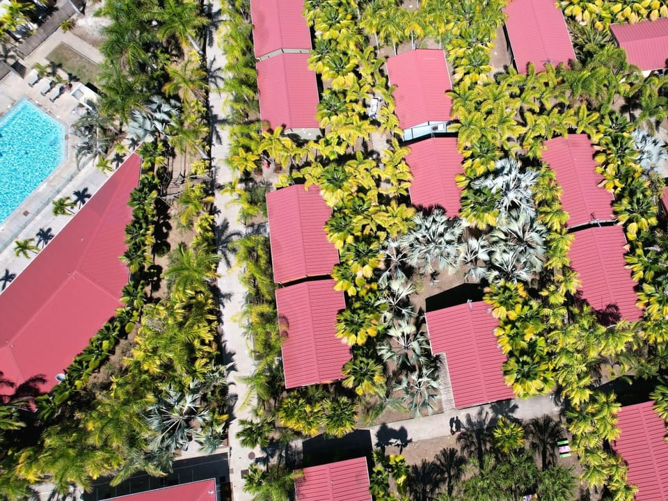 Bird's eye view, Garden