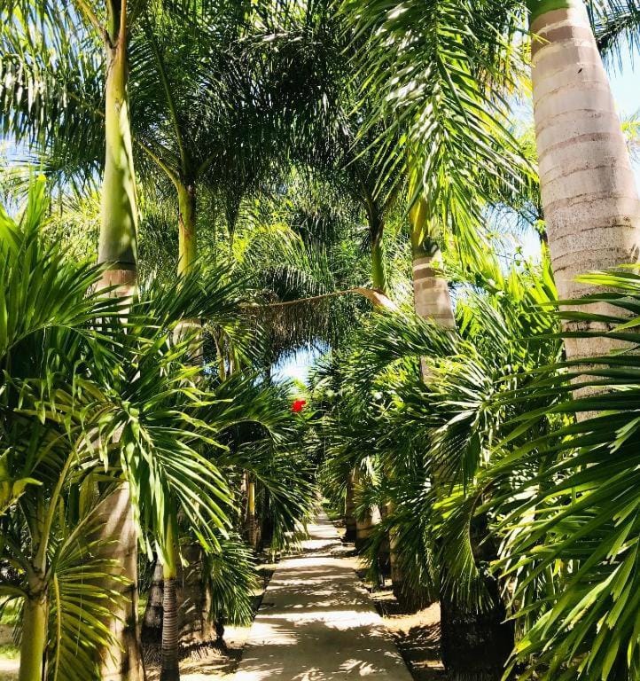 Garden, Garden view