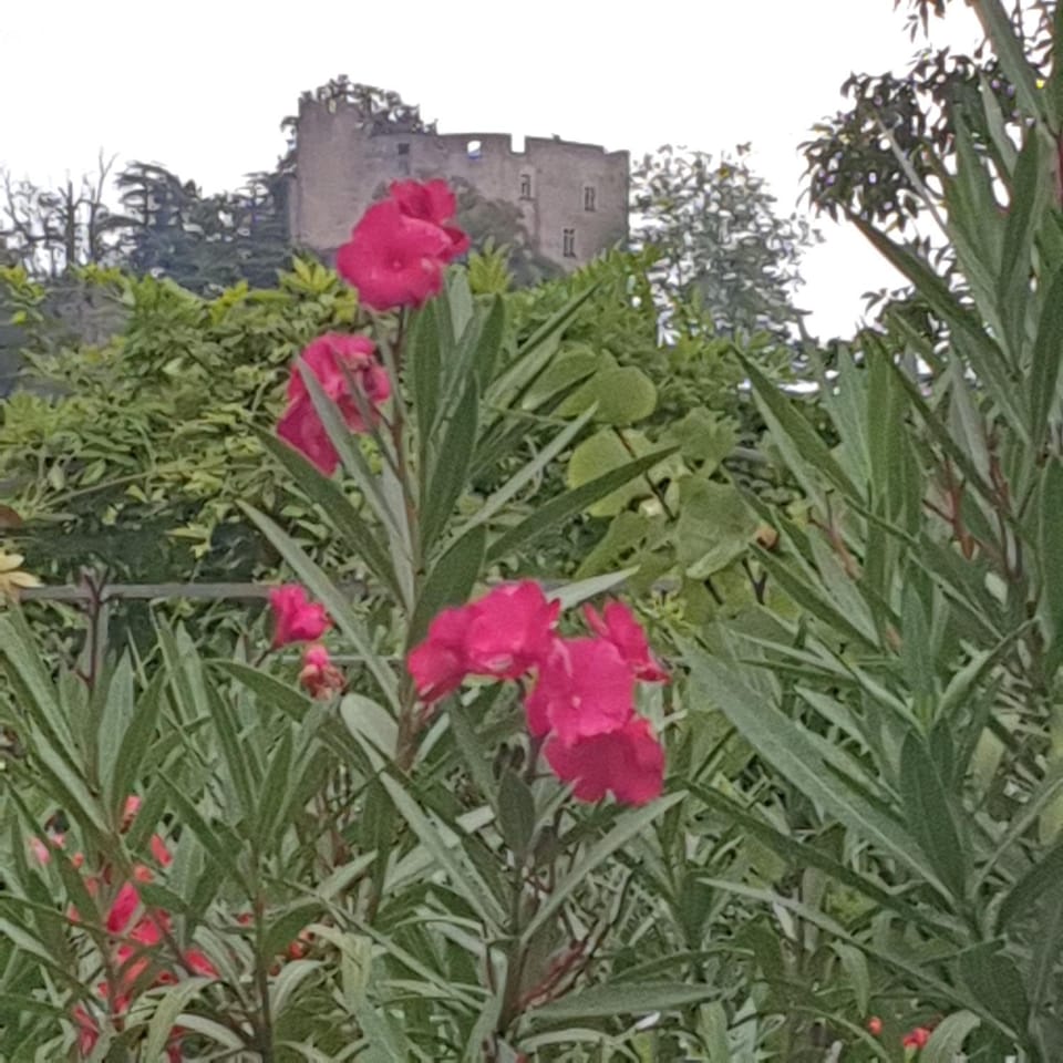 Les Nuances de Mélis' Bed and Breakfast in Auvergne-Rhône-Alpes