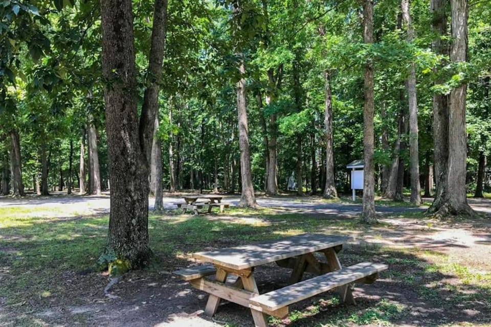 Tranquil Woods House in Ocean Pines