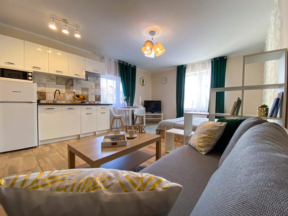 TV and multimedia, Kitchen or kitchenette, Photo of the whole room, minibar, kitchen