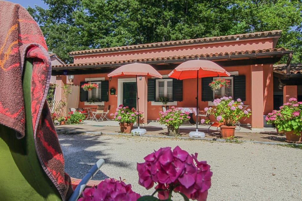 Dalibor in Jakačići - Haus für 2-4 Personen House in Istria County