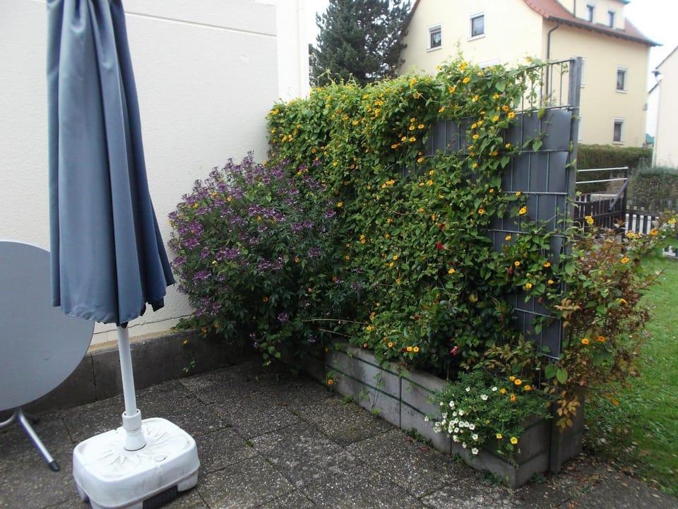 Patio, Garden