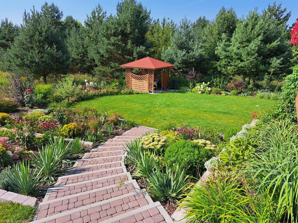 Willa Polesie Bed and Breakfast in Belarus