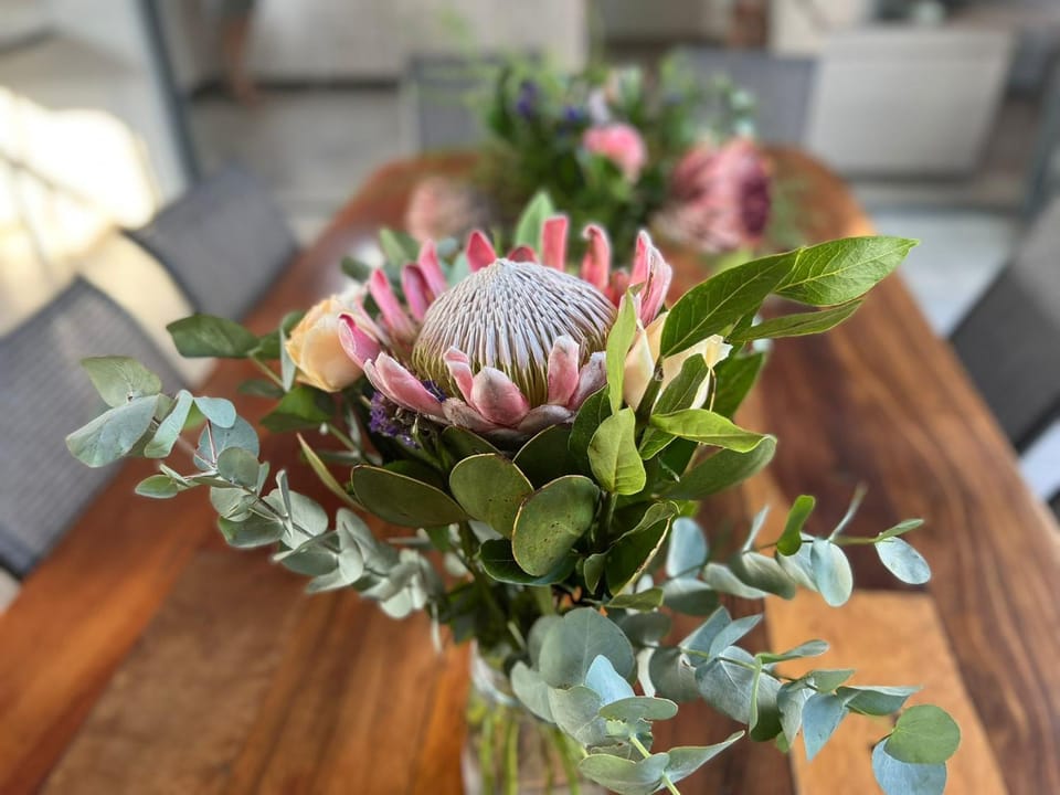 Stories @ Marloth House in South Africa