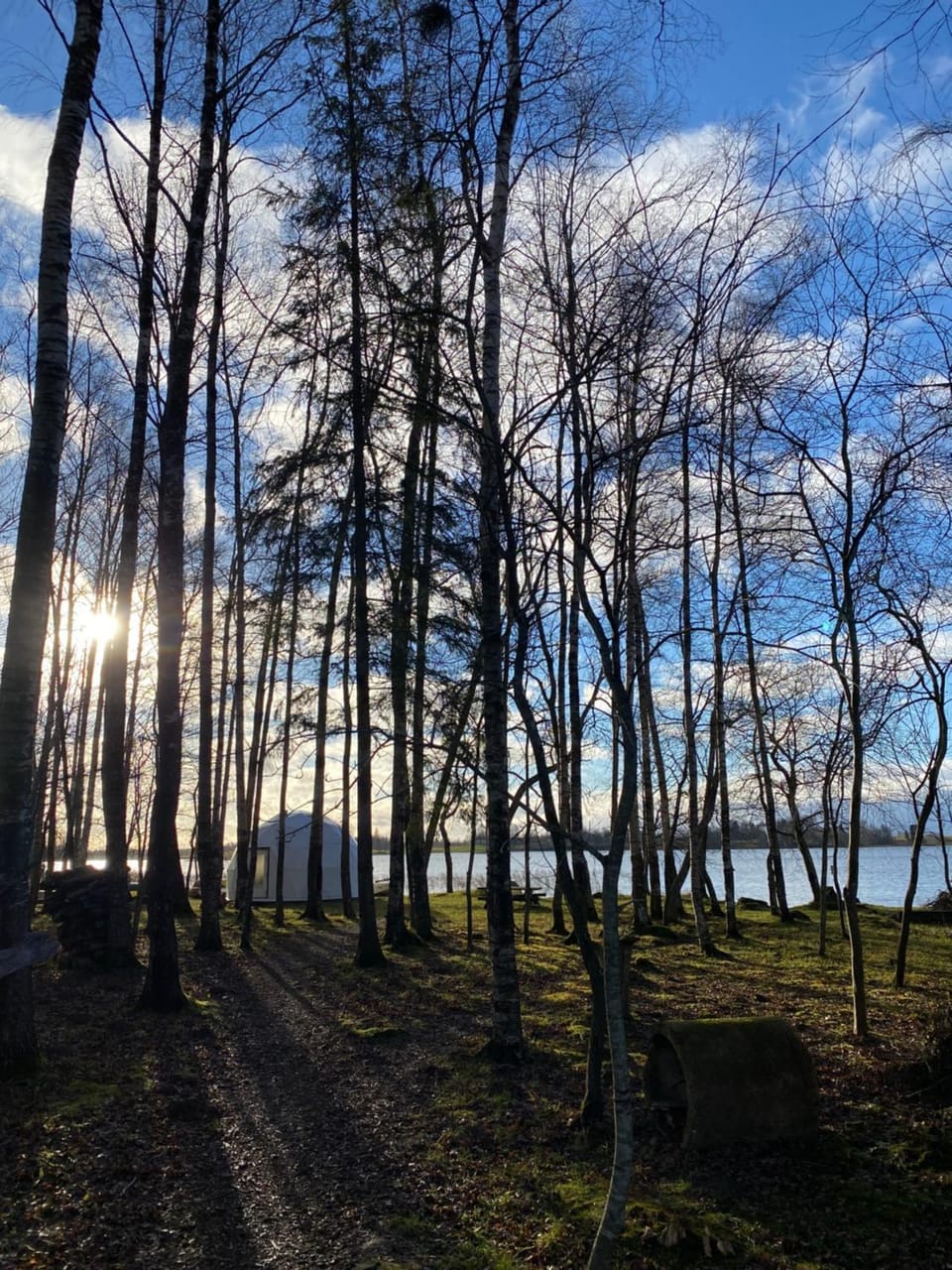 Lake view