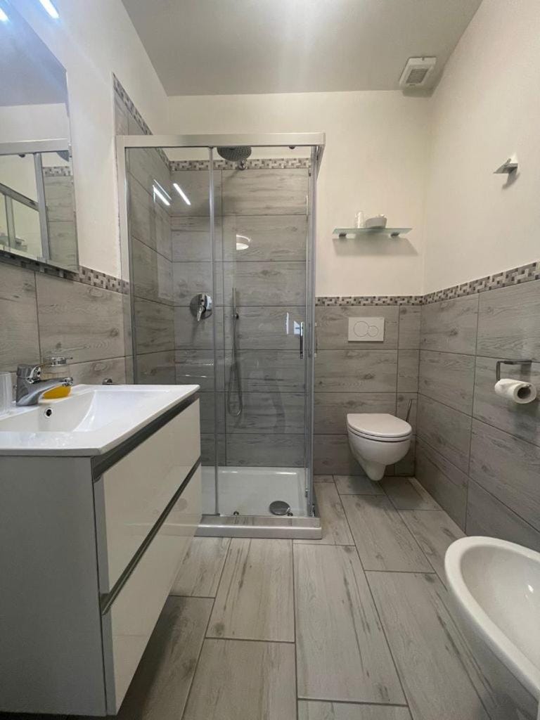 Shower, Toilet, Bathroom, bidet