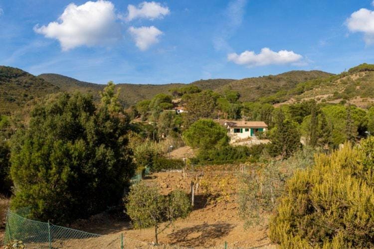 Neighbourhood, Natural landscape