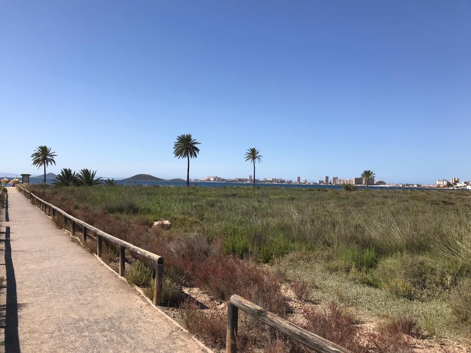 Natural landscape
