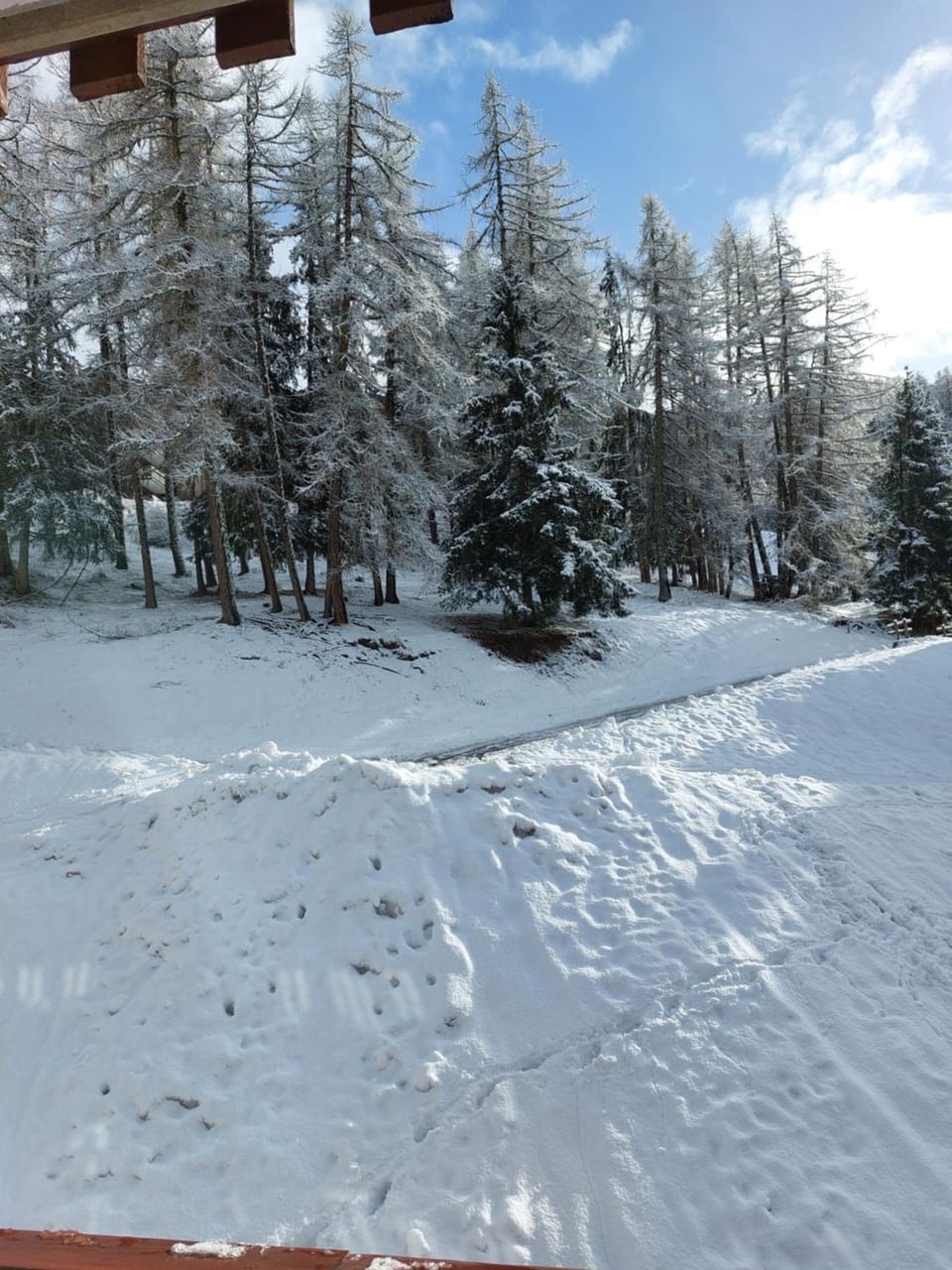 Natural landscape