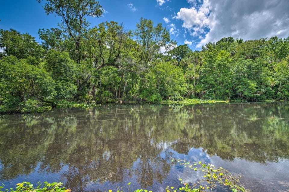 Riverfront Apopka Studio Near Wekiwa Springs! Apartment in Apopka