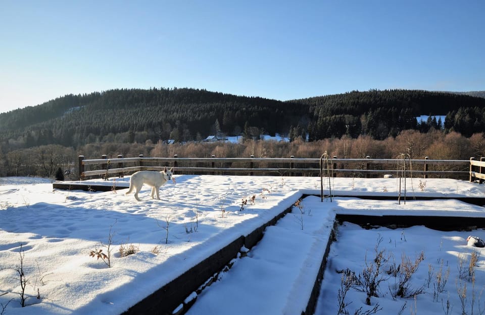 Natural landscape, Winter, Balcony/Terrace, Pets, Mountain view