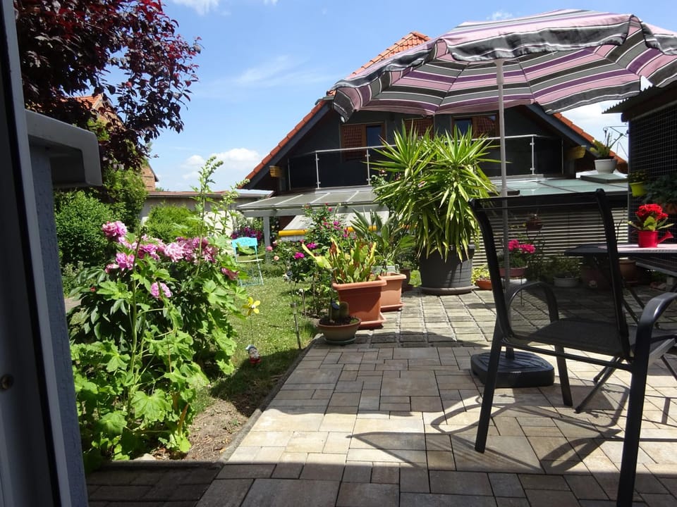 Patio, Garden view