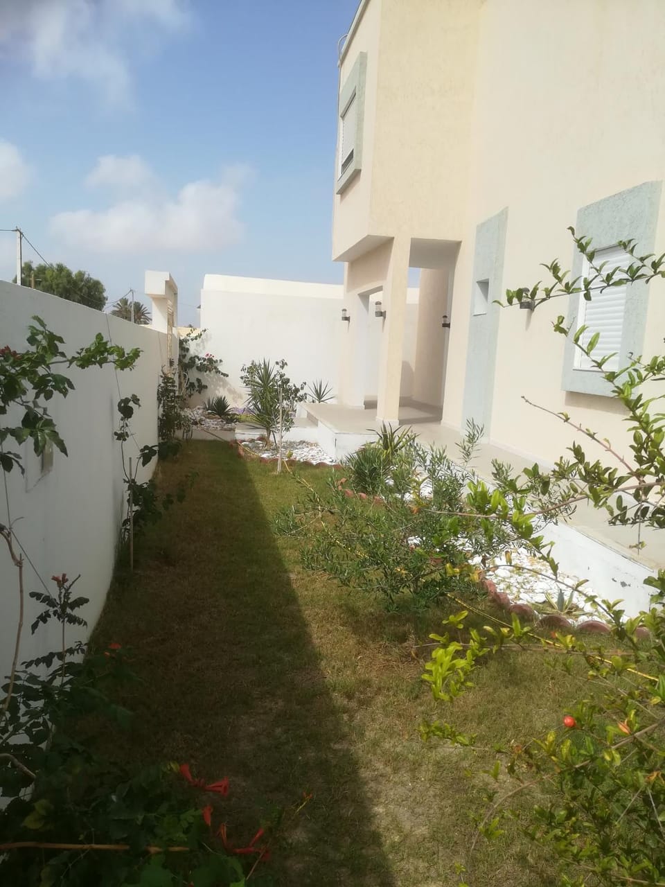 Facade/entrance, Garden
