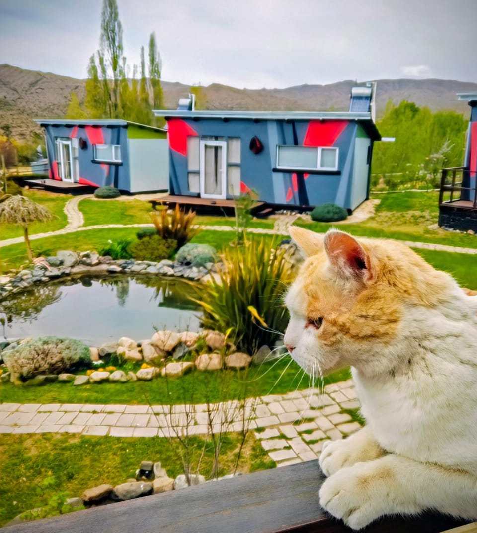 Natural landscape, Pets