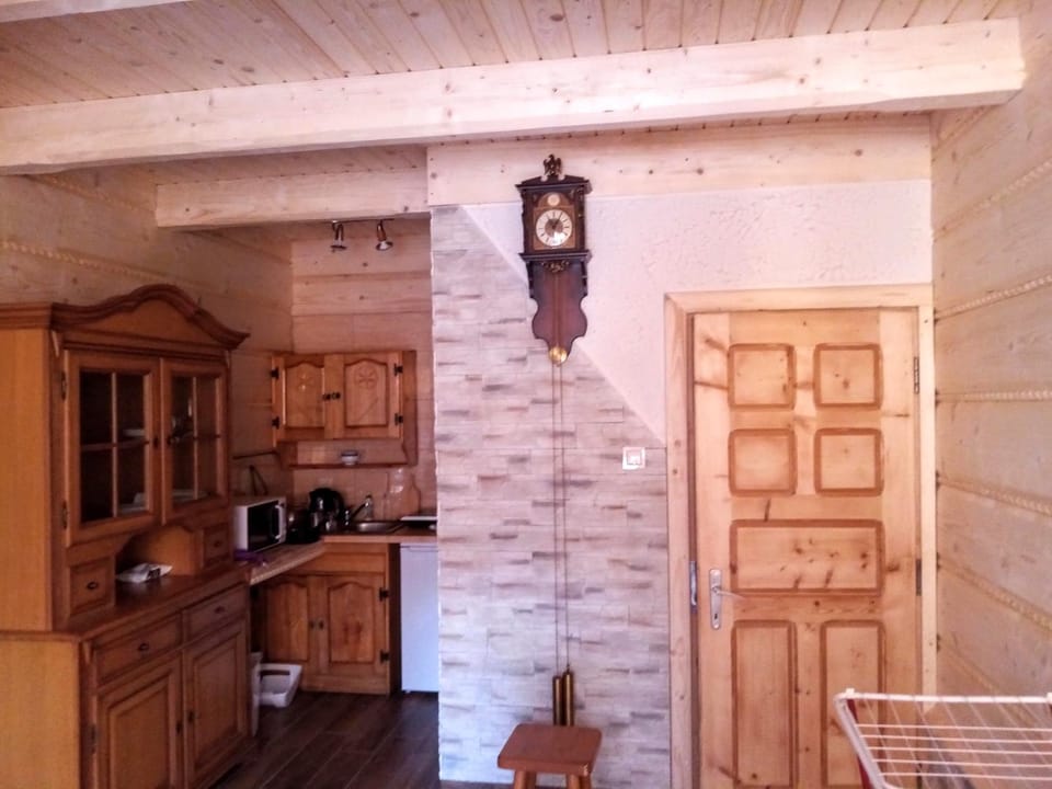 Kitchen or kitchenette, minibar, pet friendly, stove