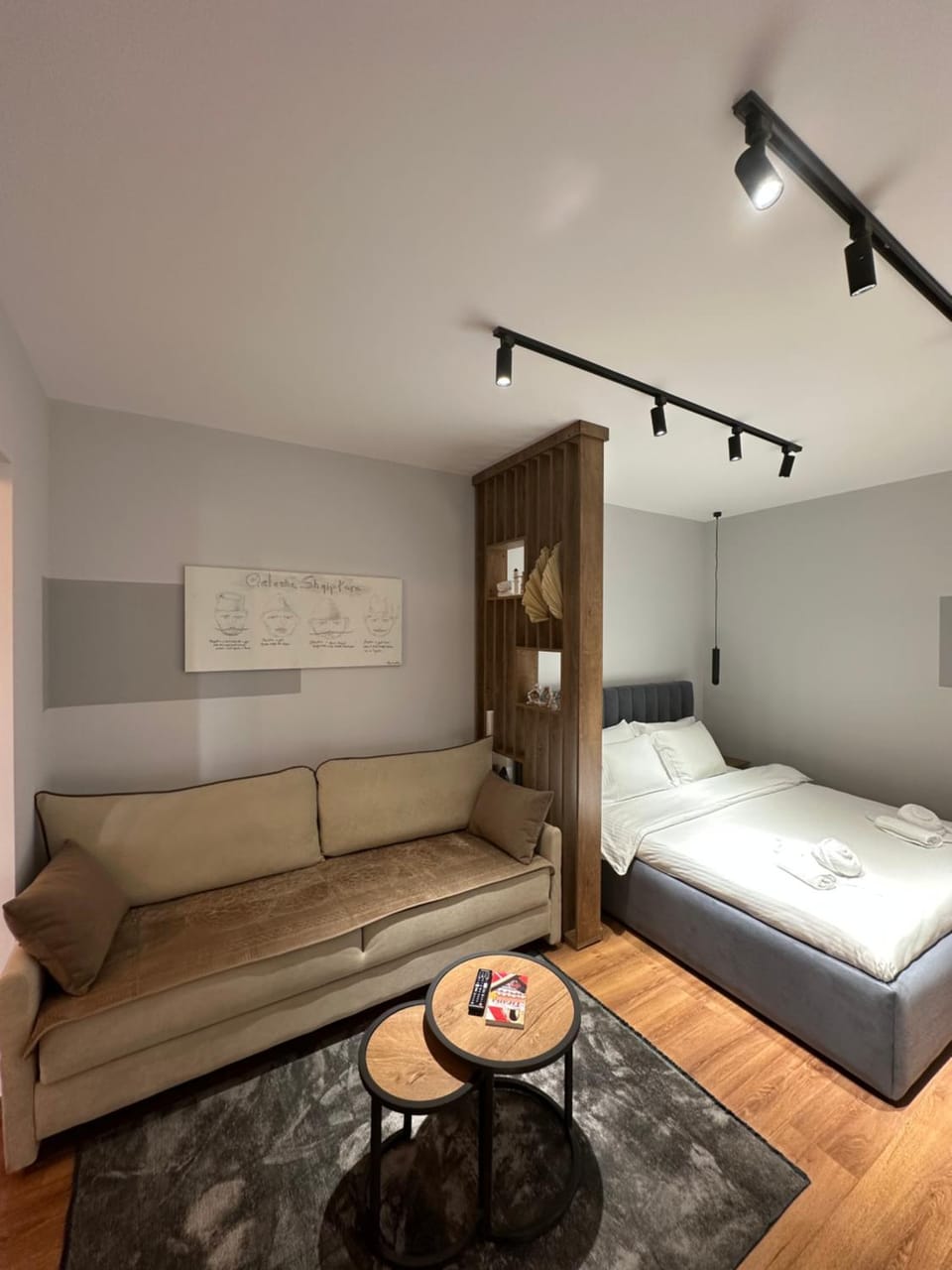 Bed, Living room, Photo of the whole room, Seating area, Bedroom