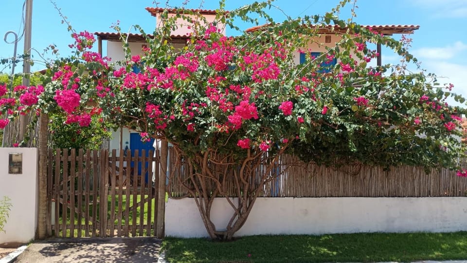 Le Petit Suítes Praia de Lages Bed and Breakfast in State of Alagoas, Brazil
