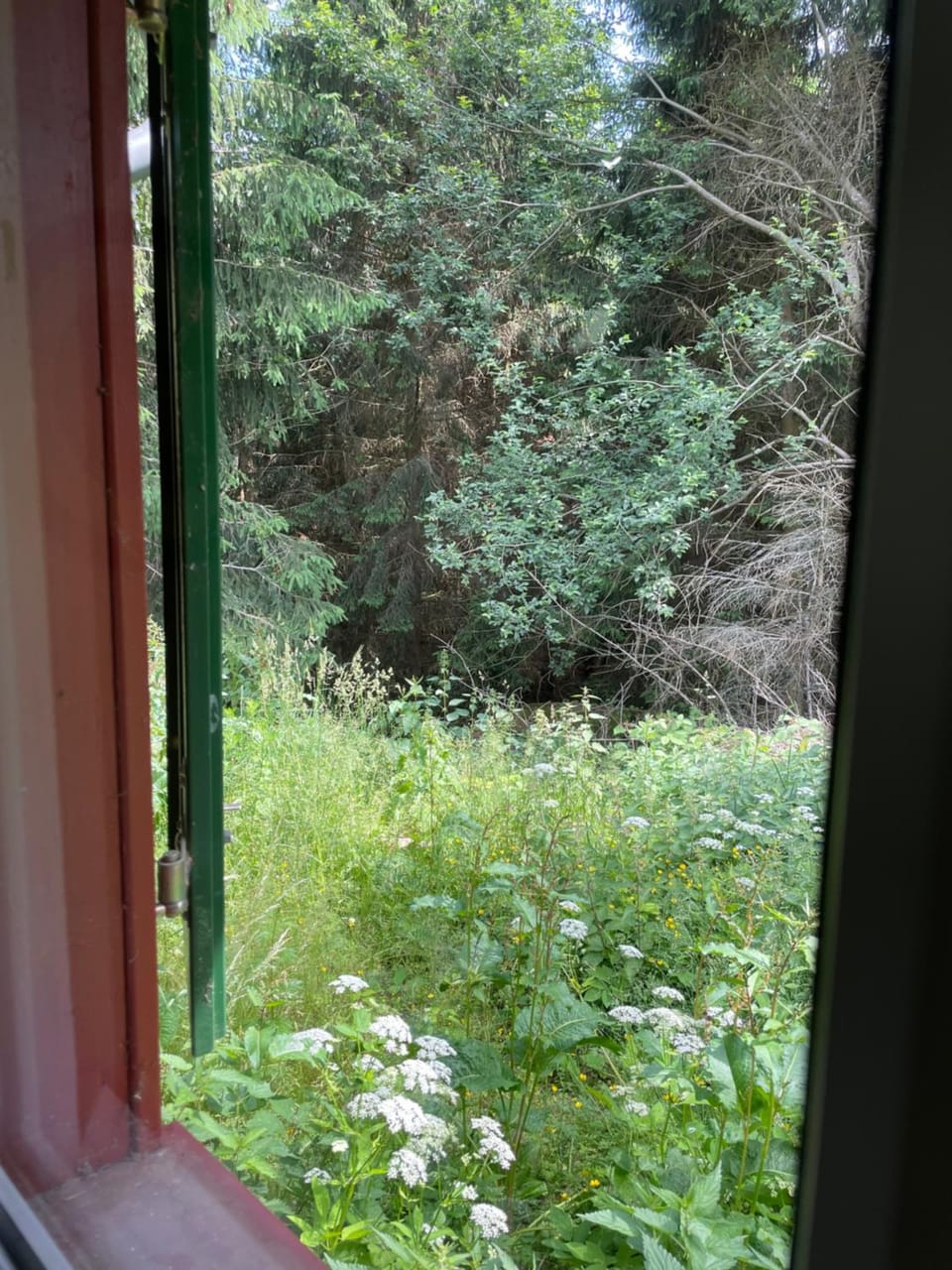 View (from property/room), Garden view