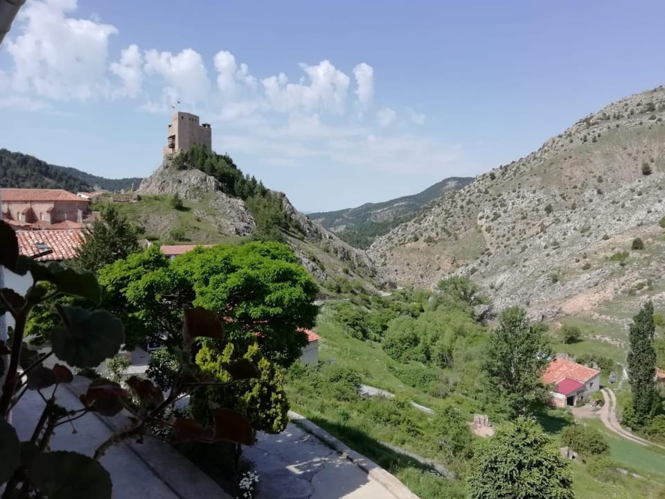View (from property/room)