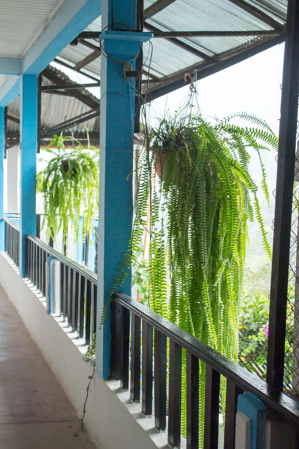 Balcony/Terrace, Garden view