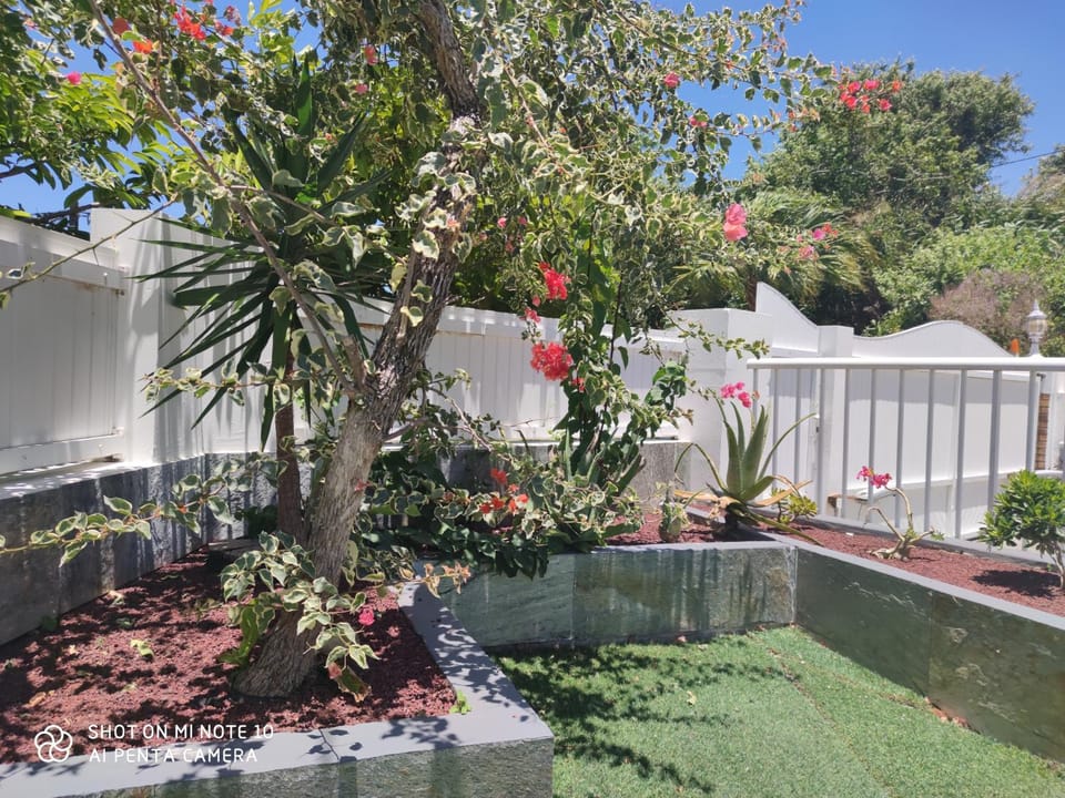 villa Areca Villa in Réunion