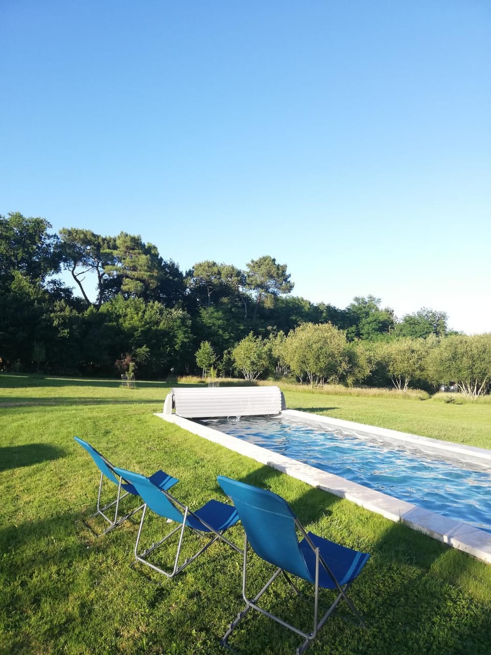 Garden, Swimming pool