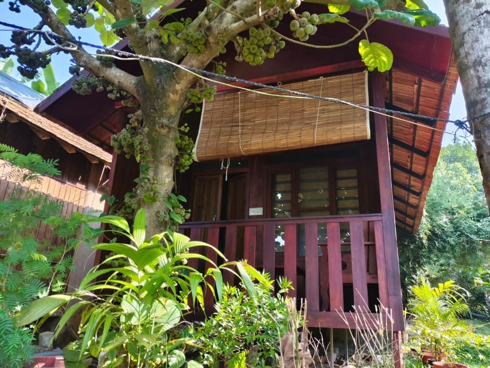 Sandra eco Bed and Breakfast in Varkala