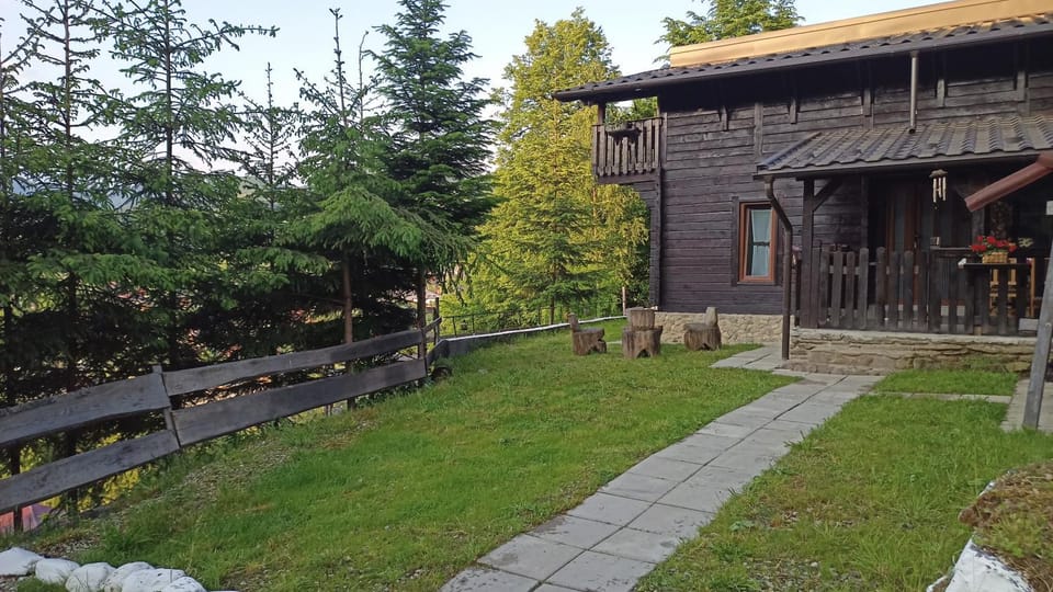 Panoramic Chalet House in Romania