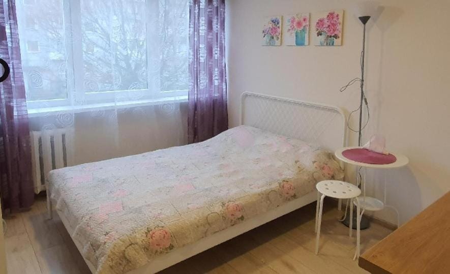 Taikos Studio 7 Apartment in Klaipėda