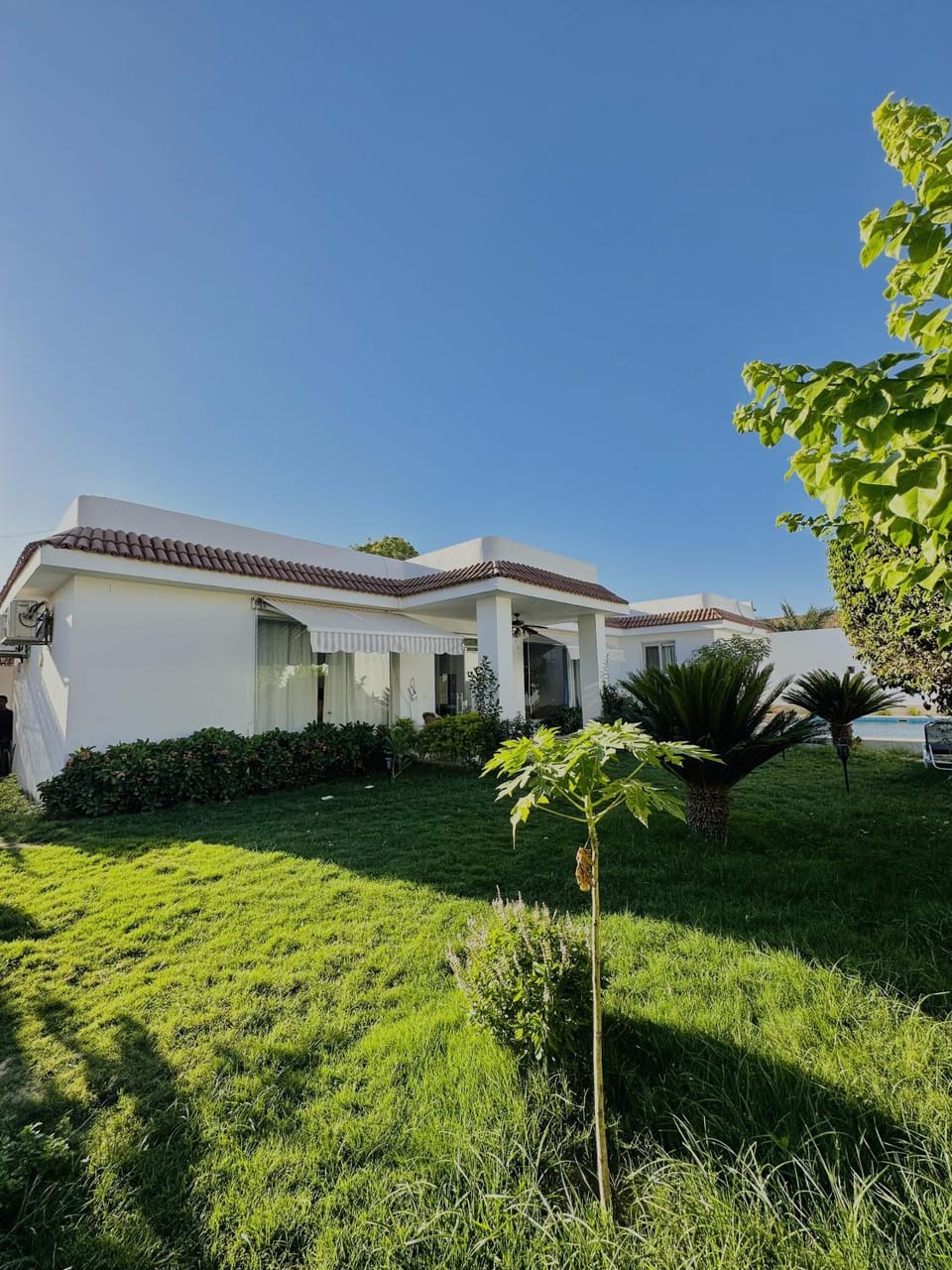 Luxor Rose Villa Villa in Luxor
