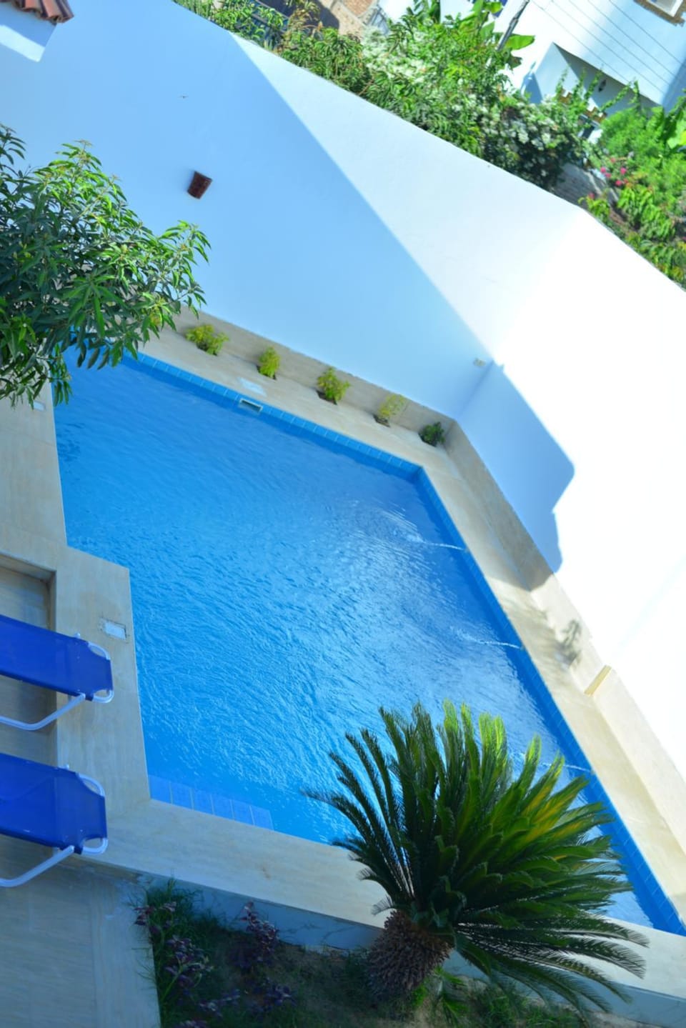 Luxor Rose Villa Villa in Luxor