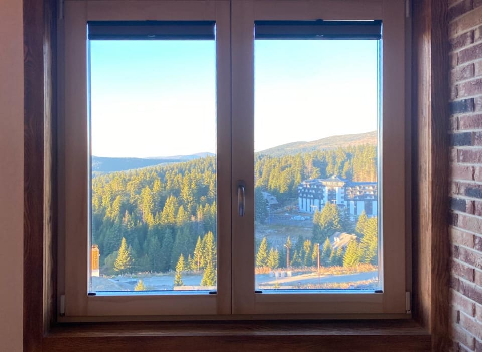 Apartman Sky View, Župa Wellness & Spa u Centru Kopaonika Apartment in Serbia