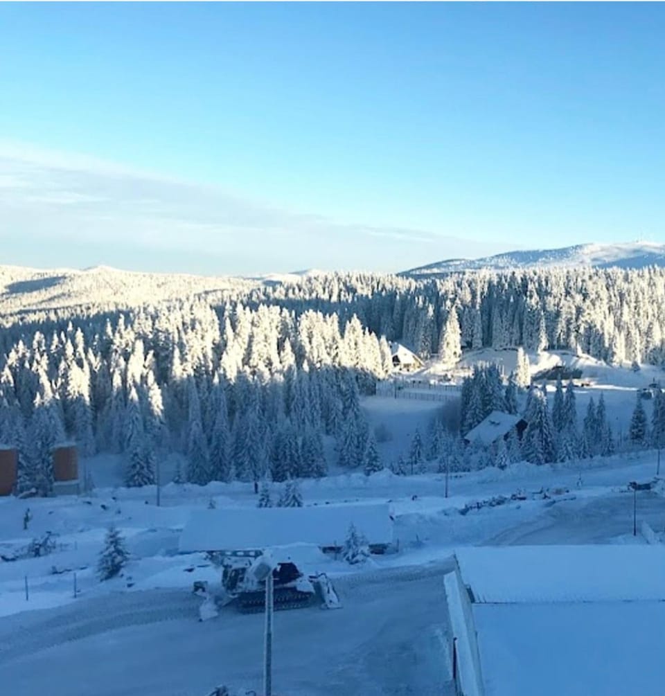 Apartman Sky View, Župa Wellness & Spa u Centru Kopaonika Apartment in Serbia