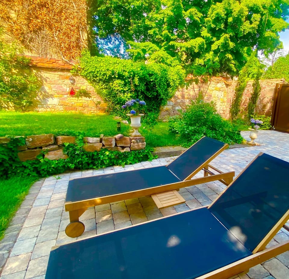 La Villa Alma Colmar Villa in Colmar