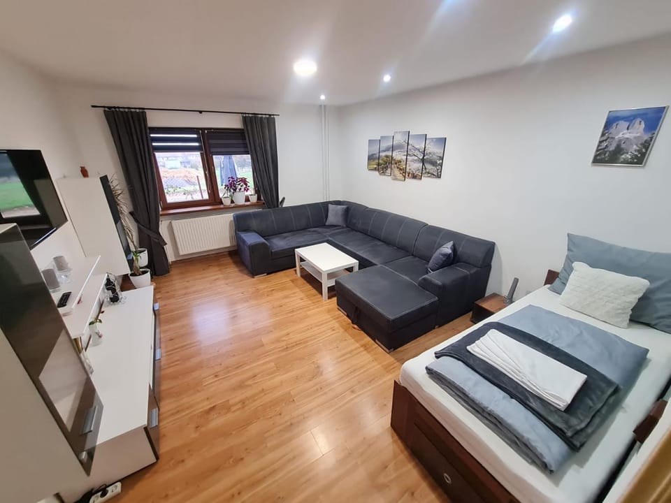 Malebný Rodinný Dům v Přírodě, Sauna, BBQ Apartment in Czechia