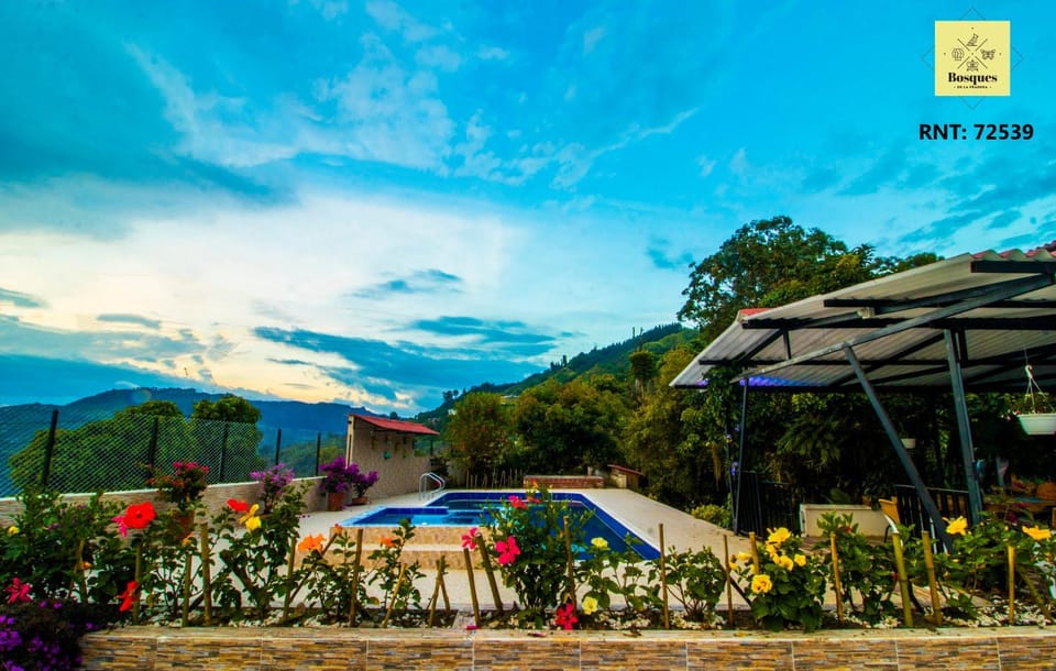 Hot Tub, Swimming pool