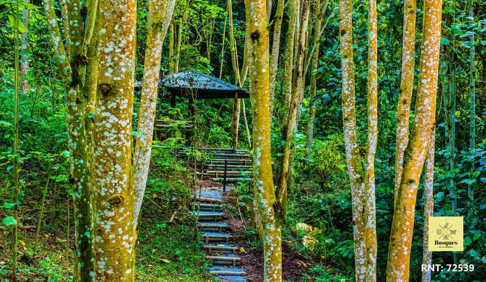 Hiking