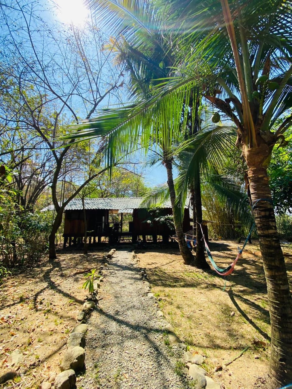 Natural landscape, Garden
