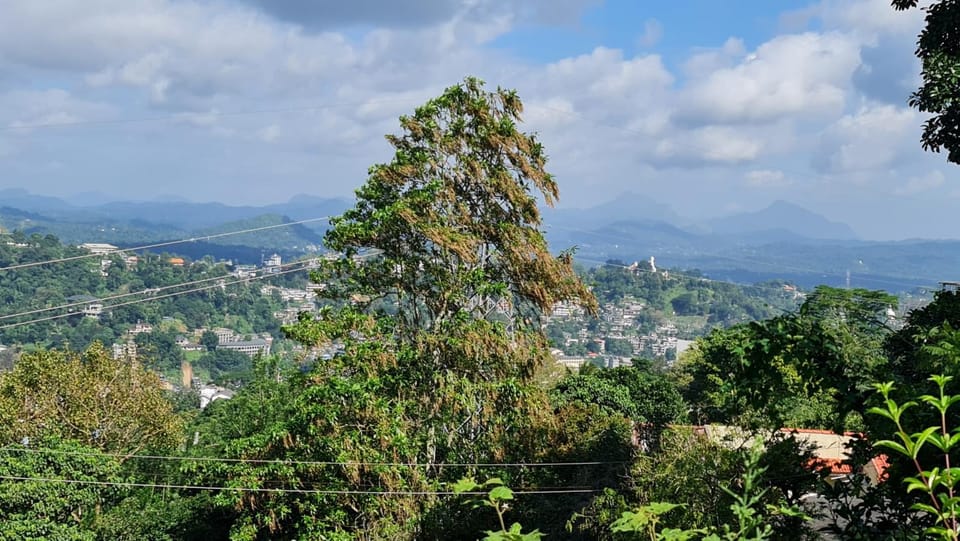 Natural landscape, Mountain view