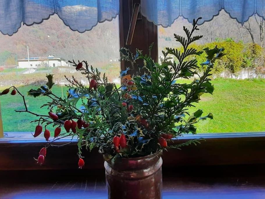 Cascina Ca' Scarlatta - Your Mountain Holiday House in Province of Lecco