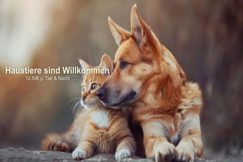 Pets