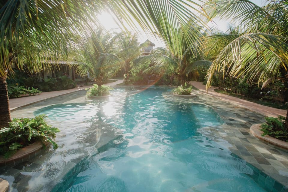 Garden, Pool view, Swimming pool, Swimming pool