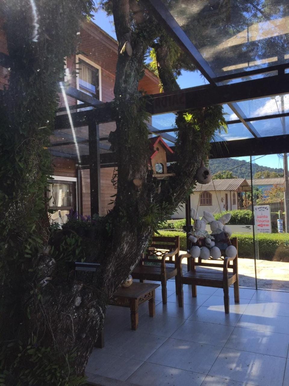 Patio, Garden