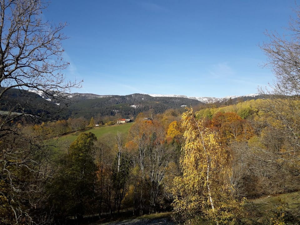 Mountain view